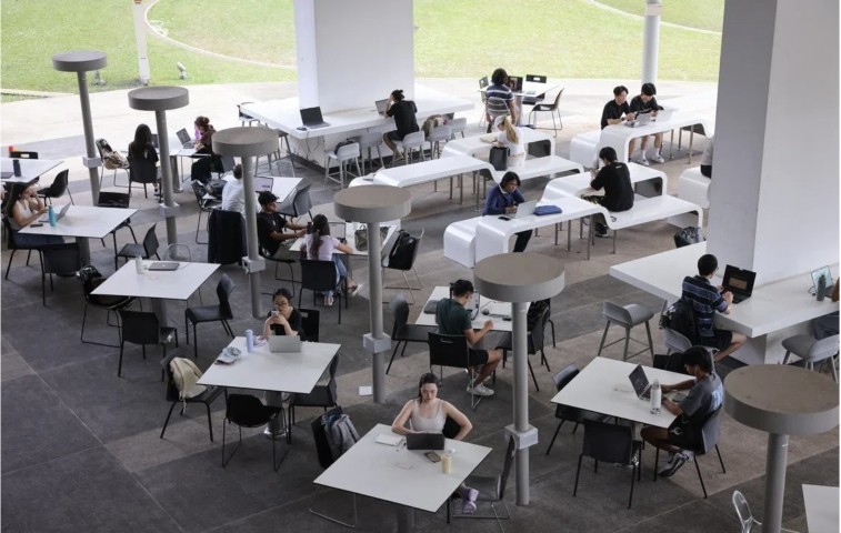 Commentary by Prof Holly Yang